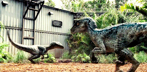 tumblr_nqvb4t7yr11uwv2ffo1_500